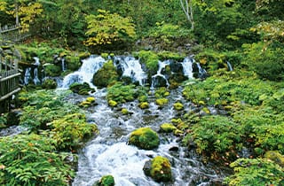 京極ふきだし公園