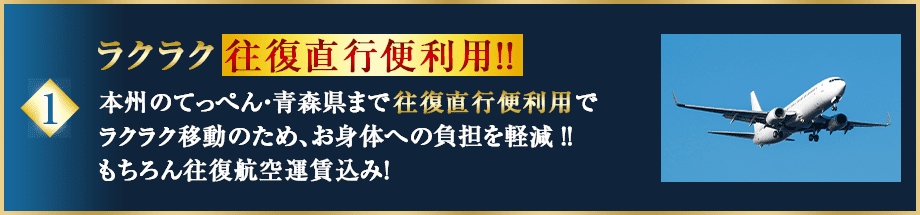 ラクラク往復直行便利用!!本州のてっぺん・青森県まで往復直行便利用でラクラク移動のため、お身体への負担を軽減‼もちろん往復航空運賃込み！