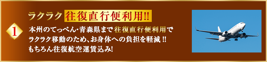 ラクラク往復直行便利用!!本州のてっぺん・青森県まで往復直行便利用でラクラク移動のため、お身体への負担を軽減‼もちろん往復航空運賃込み！