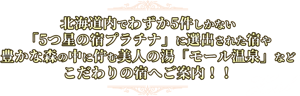 北海道内でわずか5件しかない「5つ星の宿プラチナ」に選出された宿や豊かな森の中に佇む美人の湯「モール温泉」などこだわりの宿へご案内！！