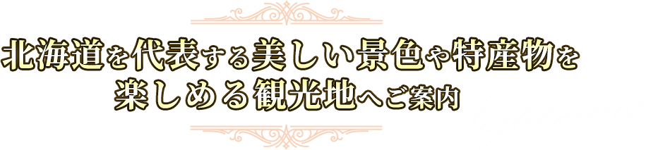 北海道を代表する美しい景色や特産物を楽しめる観光地へご案内