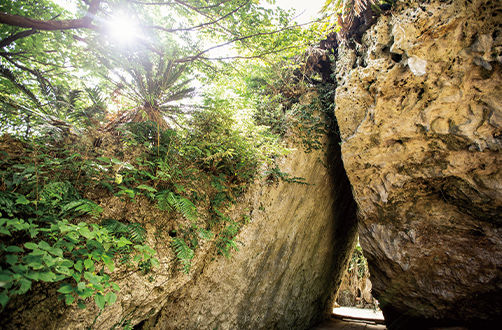 世界文化遺産　斎場御嶽