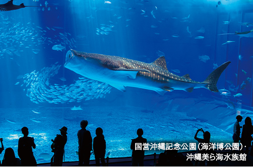 沖縄美ら海水族館