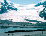 アラスカ｜コロンビア大氷河